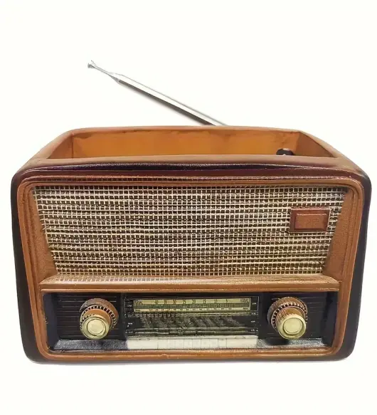 Radio Design Flower Pot