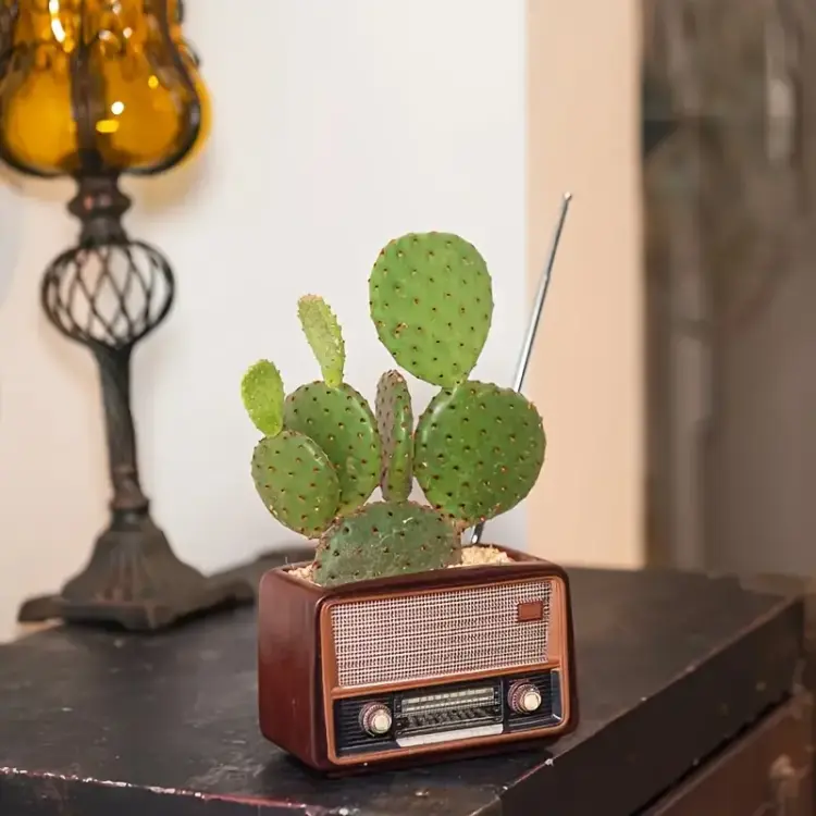 Radio Design Flower Pot - Image 3